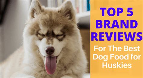 Available in a variety of kibble and canned formulas. What Is The Best Dog Food For Huskies? Top 5 Brand Reviews ...