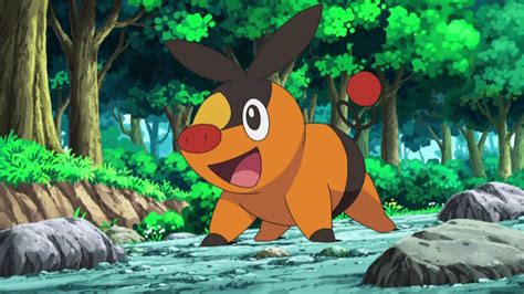 Tepig Pokémon Image 20318533 Fanpop