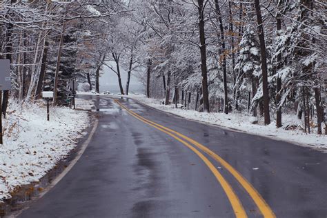 무료 이미지 나무 겨울 도로 서리 날씨 레인 시즌 하부 구조 동결 비와 눈 혼합 5184x3456