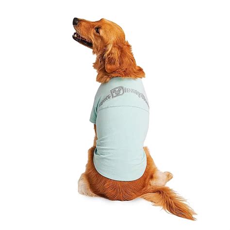 Open the snapchat app on your device and in the centre of the screen, next to the button you press to take a photo, there should be a small emoji of a smiley face to the right. Walt Disney World Arendelle Aqua Spirit Jersey for Dogs ...