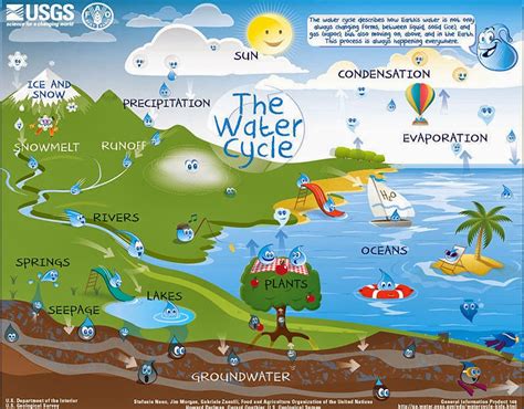 But to understand water, you have to understand the water cycle. Mr. Gantt's Earth Science Lab Blog: 5th Grade-Week 3 Water ...