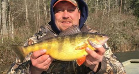 West Virginia Has A New State Record Perch Wide Open Spaces
