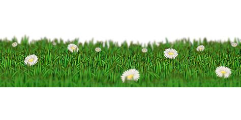 Download Meadow Grass Flower Wallpaper Royalty Free Vector Graphic