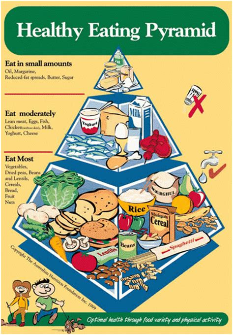 Surprisingly it was pretty crowded. Nutrition Australia just released a new food pyramid! | 1 ...