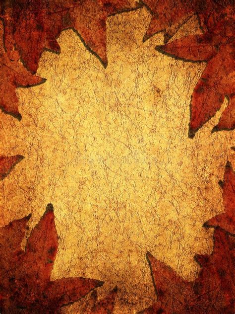 Dry Leaves Background Stock Image Image Of Herbarium 11824749
