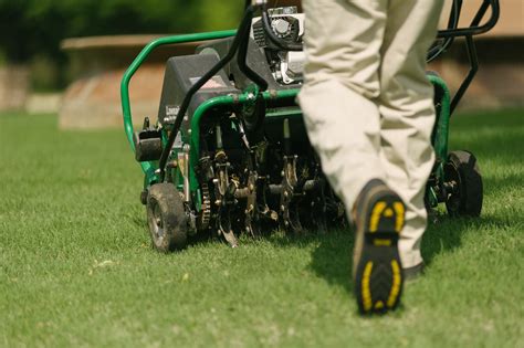 Cant Get Rid Of Lawn Weeds Heres Why You May Be Failing At Weed Control