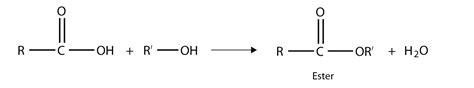 Carboxylic acid acid will change blue litmus paper into red. Chapter 16 Section D Other Oxygen-Containing Functional Groups