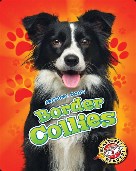 Awesome Dogs Border Collies Childrens Book By Rebecca Sabelko