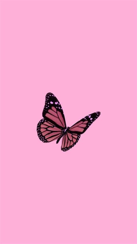 40 Cute Pink Wallpapers For Iphone You Need Now Oge Enyi