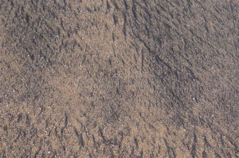 Black Sand Texture Stock Image Image Of Water Sand 16300979