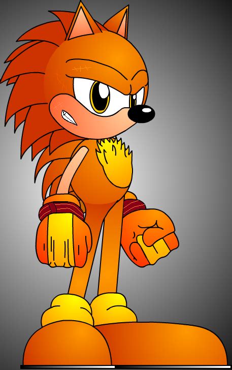 Scorch The Hedgehog Sonic Fanon Wiki Fandom