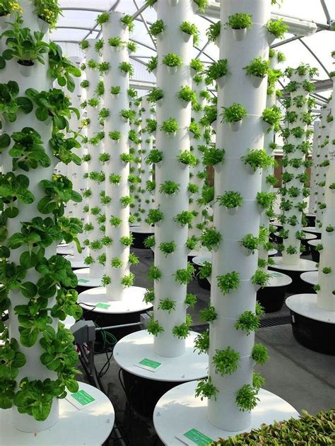 Gorgeous Vertical Hydroponics Gardening Ideas Https Gardenmagz Com Vertical Hydroponics