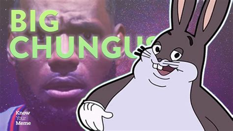 Know Your Meme Big Chungus Captions Beautiful