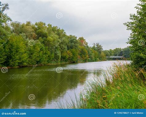 Autumn Landscape Of River And Trees Riverside Landscape Stock Image