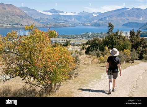 Impressive Panoramic View Of Wanaka The Lake And Distant Mountains