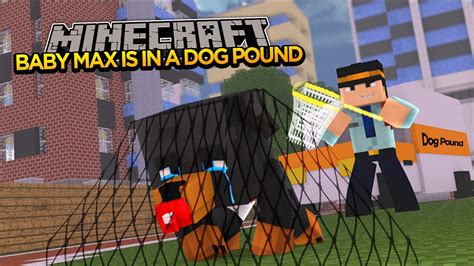 Minecraft Donut The Dog Adventures Baby Max Gets Put Into A Dog