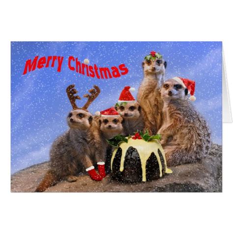 Merry Meerkats Christmas Card Zazzle