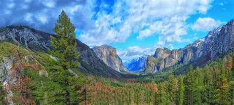 Photo Yosemite Usa Rock Nature Mountains Parks Forests Landscape