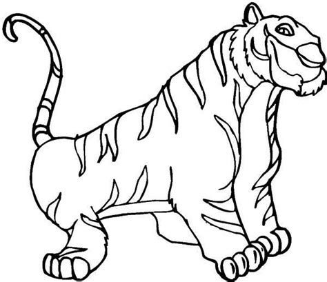 Siberian Tiger Coloring Page At Free Printable