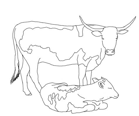 Cow Coloring Pages For Kids Photos Animal Place