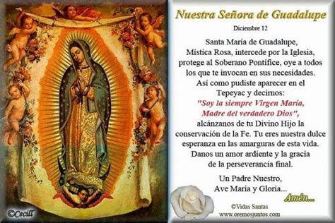 ® Blog Católico Navideño ® Oraciones A La Virgen De Guadalupe