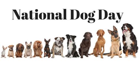 Break Out The Treats Its National Dog Day Joy Of Living