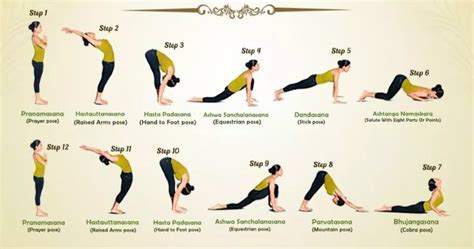 Sun salutation sequence is very effective yoga asanas you should do everyday. Surya Namaskar Instructions - Step-by-Step Guide to 12 ...
