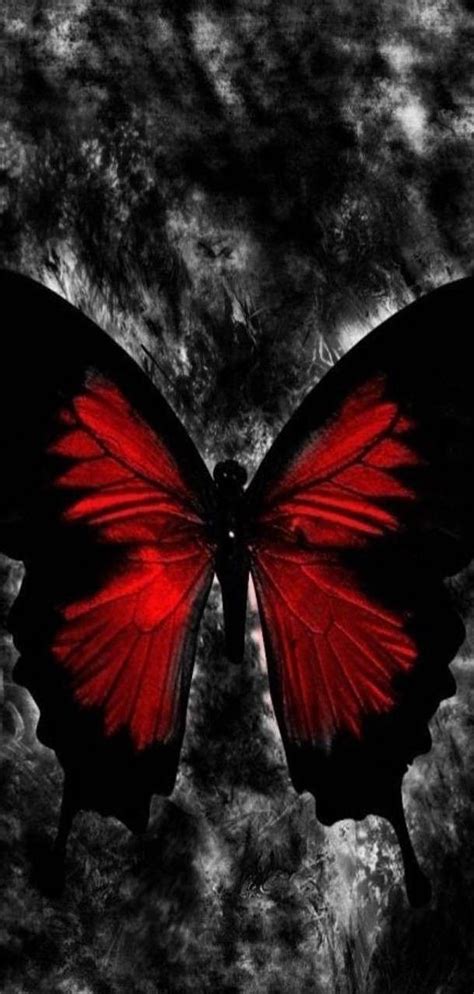 Pin By Torrio Thescorpio7 On Dark Beauty Gothic Wallpaper Butterfly
