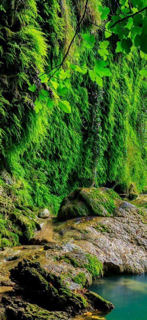 Iphone X Wallpaper Tropical Forest Waterfall Hd K Hd