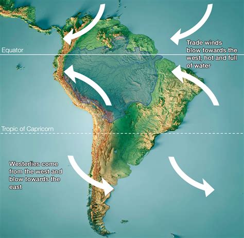The Amazon Rainforest - by Tomas Pueyo