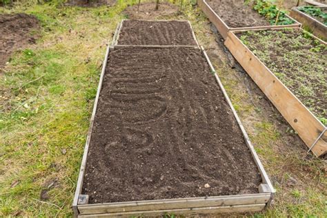 The Benefits Of Black Mulch For Your Garden Finding Farina