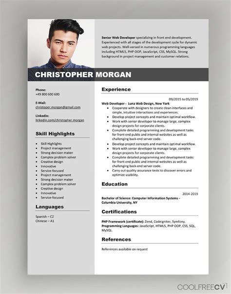 Cv Resume Templates Examples Docx Word Free Download