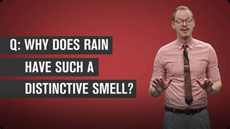 Why Does Rain Have A Distinctive Smell Video Discover Fun And