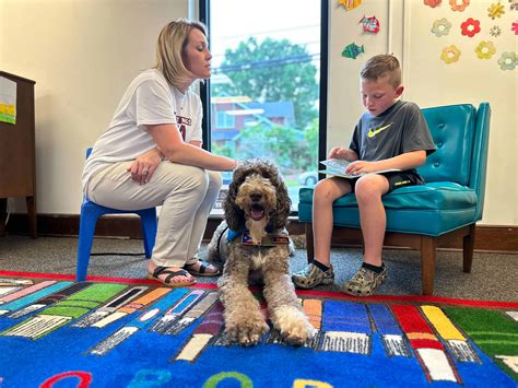 Therapy Dogs What You Need To Know Highland Canine Training