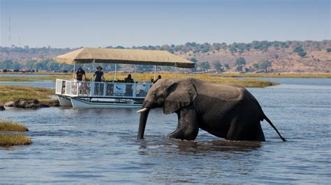 Botswanas Chobe National Park Beauty Is Charmingly Inviting See
