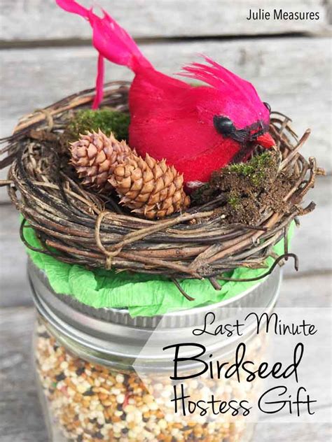 Trying to find a hostess gift for a serious tea lover? Last Minute DIY Birdseed Hostess Gift - Julie Measures