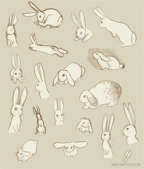 Bunnies On Deviantart Rabbit