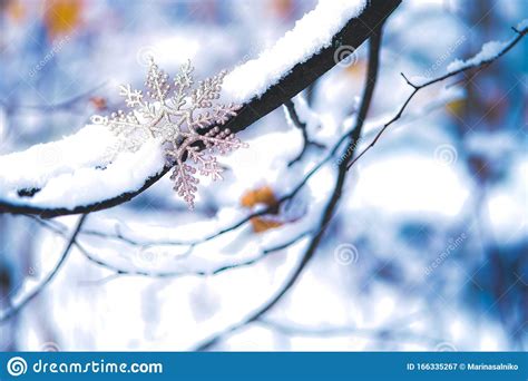 Christmas Snowflake On The Snowy Branch Stock Image Image Of Outdoor