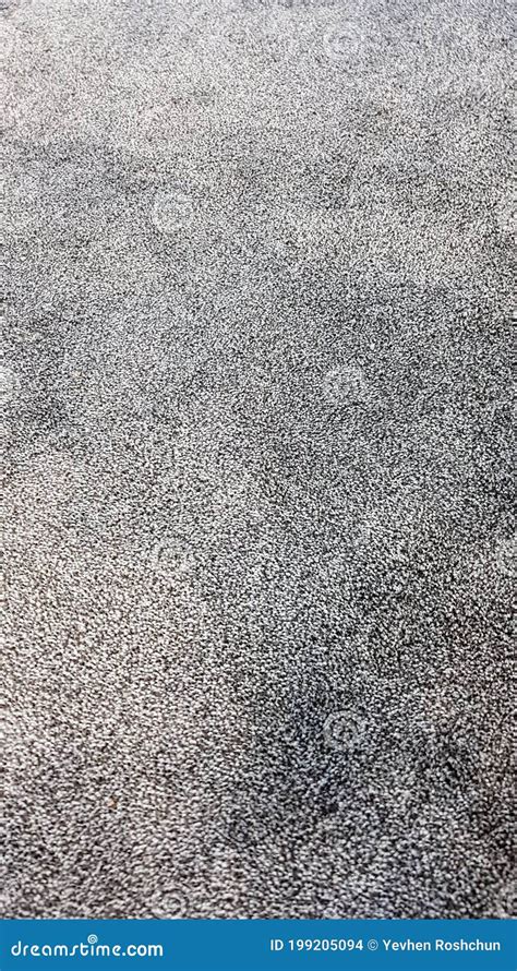 Gray Carpet Polyester Texture Seamless Monochrome Gray Carpet Texture