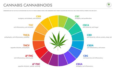 The Different Compounds Found In Cannabis Kind Meds Az