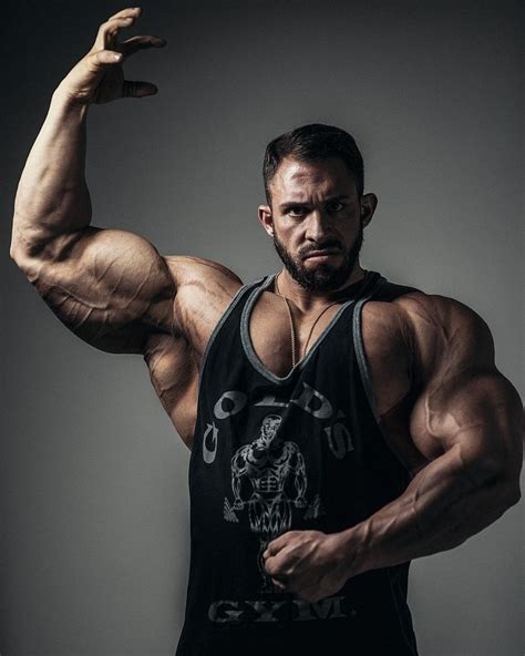 Kevin Wolter Musculos Hombres Brazos