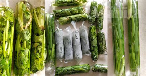 Namun begitu, alangkah mahalnya harga untuk sebiji kek aiskrim. Cara Simpan Sayuran Herba Dalam Plastik Aiskrim, KEKAL ...