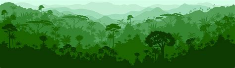 vector ngang liền mạch rừng mưa nhiệt Đới nền rừng rậm hình minh họa sẵn có tải xuống hình ảnh