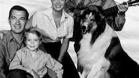 Lassie Serie 1954 1973 Moviepilot