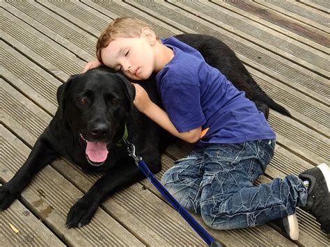 5 Ways To Bond With Your Dog Dog Training Dogs Kids Labrador Retriever