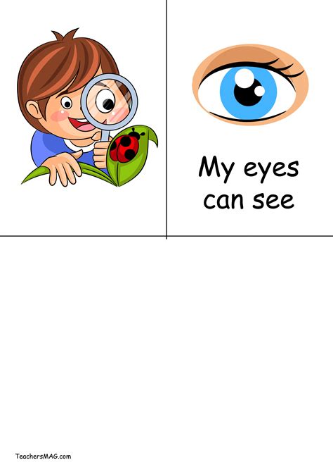 They require simple and easy to find materials and very little to no prep. Five Senses Activity for Preschool Students | TeachersMag.com