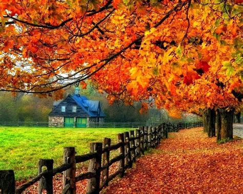 Pin By Barbara Zadros On Ukwiecone PŁotki Autumn Scenery Scenery