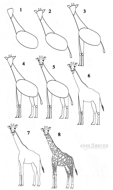How To Draw A Giraffe Step By Step Pictures