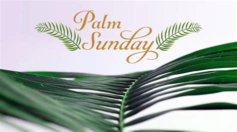 Palm Sunday Message Abiding Word Evangelical Lutheran Church