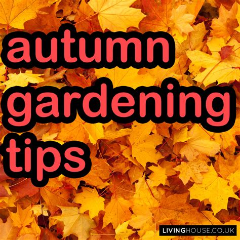 Autumn Gardening Tips Livinghouselivinghouse
